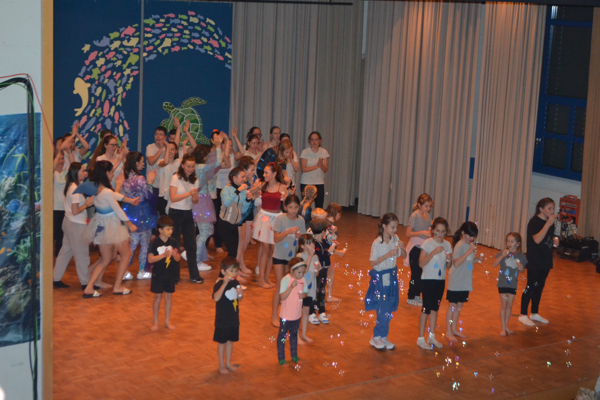 Bild2 (161)